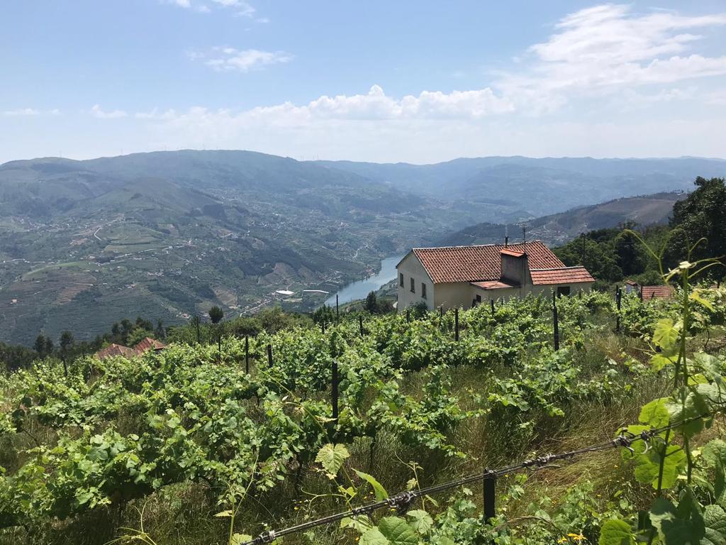 Dias intensos em&nbsp;Portugal!